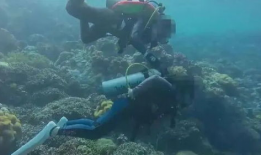 潜水视频,揭秘神秘海底世界