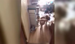 免费污视频在线观看,揭秘网络暗流涌动的秘密世界