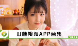 红果视频,揭秘热门短视频背后的故事与魅力