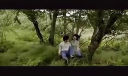 挪威的森林视频,探寻心灵深处的情感之旅