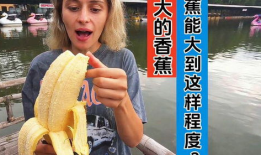 大香蕉综合视频,盘点热门内容，揭秘网络娱乐新趋势