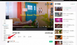 下载网站视频,轻松获取热门视频的独家攻略