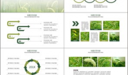 99草视频,揭秘绿色生态生活新风尚