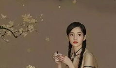 锦绣江南摄影花絮视频,捕捉诗意时光的瞬间