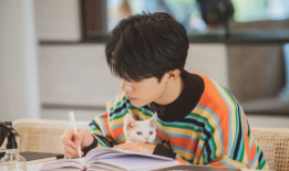 wwwav视频,wwwav视频精彩内容概览