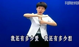 感恩的心 手语 视频,传递爱与感激的温暖瞬间