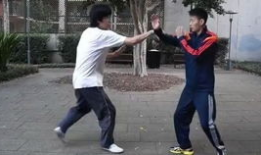 八卦掌视频,视频解析传统武术奥秘