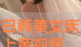 日韩黄视频,揭秘背后真相与影响