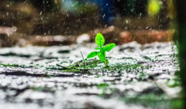 临江仙视频,穿越时空的浪漫传奇