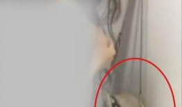 女生啪啪视频,探索女生啪啪视频背后的故事