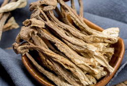 鹿茸菇,滋补养生，天然珍品之选